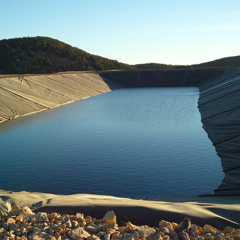 Revestimento de lagoa de geomembrana anti infiltração 0,5-2 mm 6