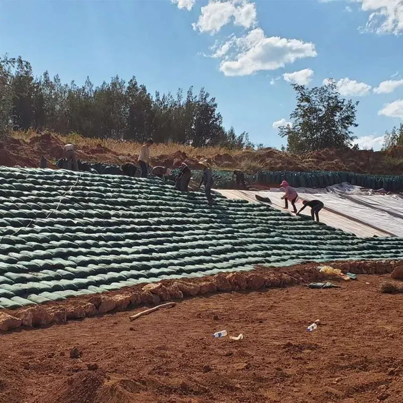 Geobags de areia não tecida para inundações Geotextil Geobags resistentes à corrosão 2