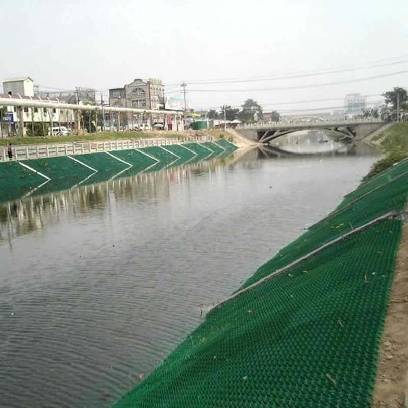 Matas de proteção de grama de plástico HDPE Pavimentadores de grelha para sistema de reforço do solo 6