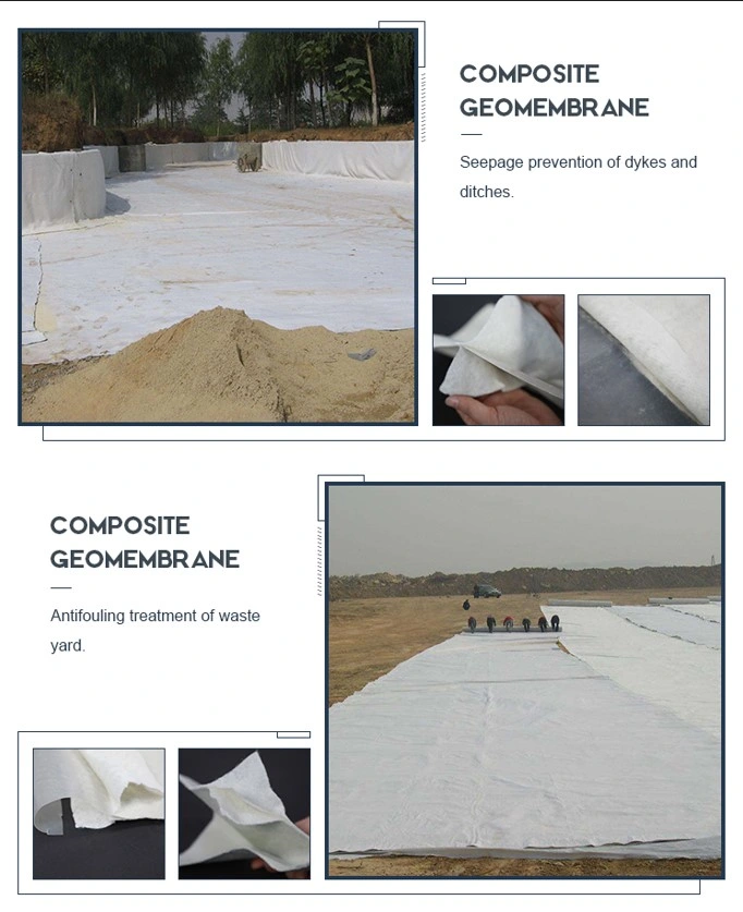 Geomembrana geotextil composta de alta resistência impermeabilizante anti-filtração 3