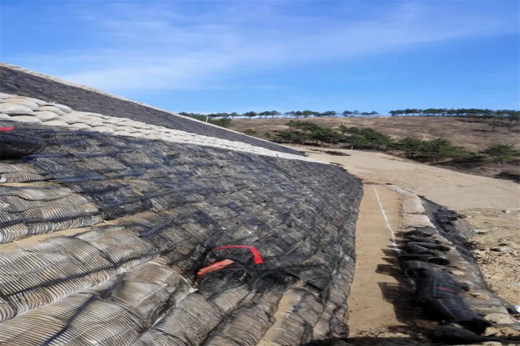 Geo Grid Grid Plástico Uniaxial Poliéster Geogrid Uniaxial Gravel Grid Ground Para Driveway Basement 0