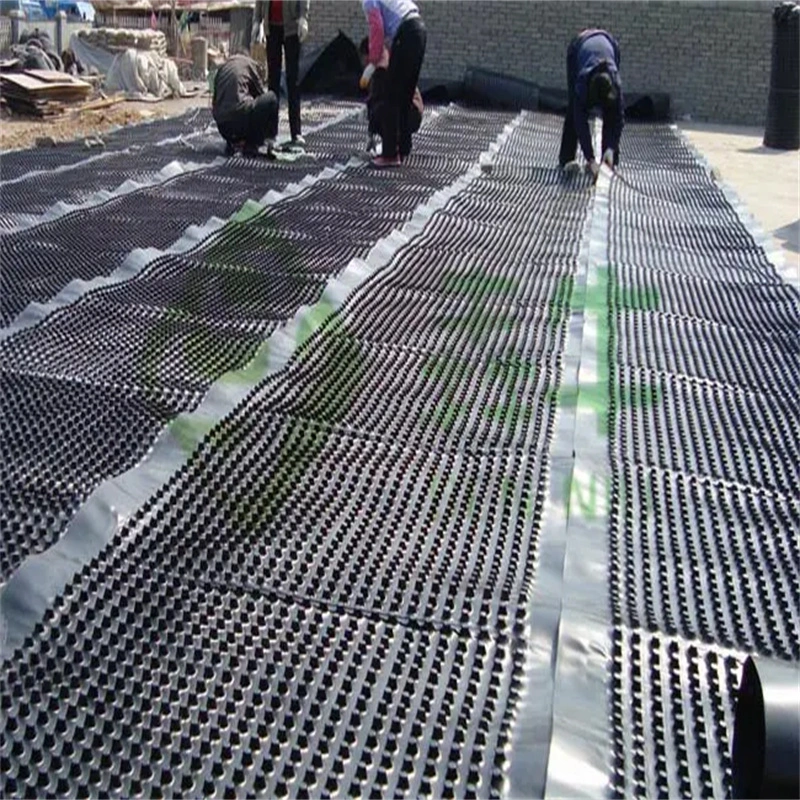 Projeto de verdura de membrana de drenagem de covinhas PVC Tabuleiro de drenagem de covinhas perfurado Trabalho de base Solução de água Solução de água 15