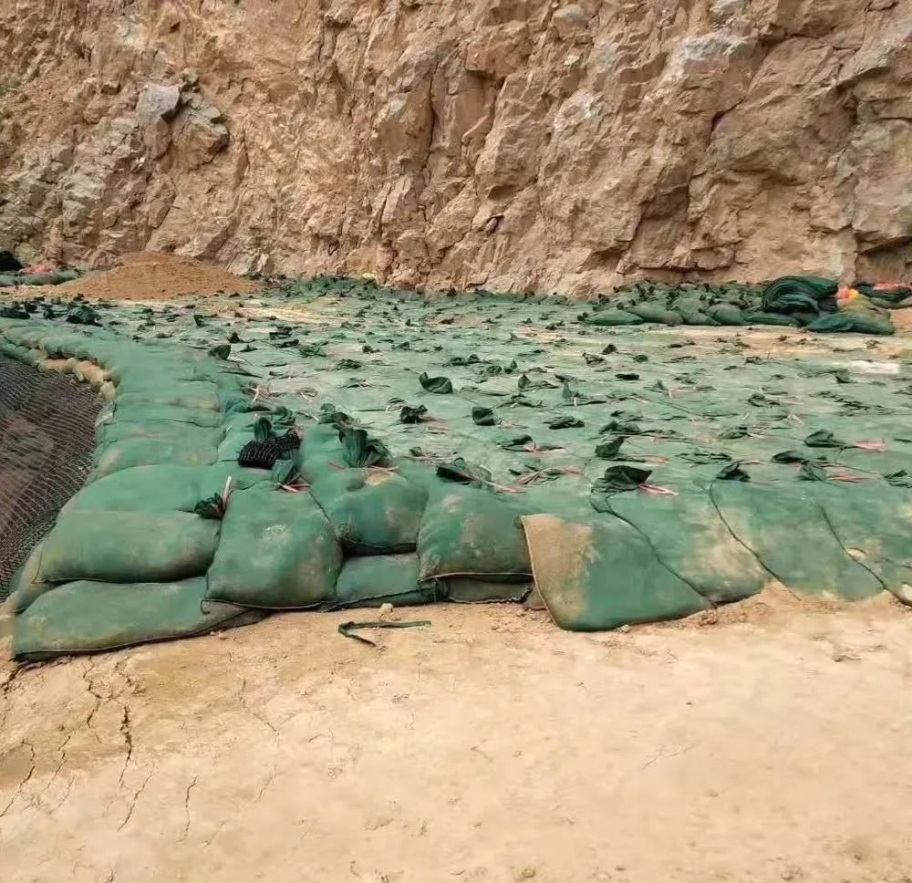 Geobag não tecido Poliéster / PP Geobag para proteção de encostas e barragem de grama para proteger o meio ambiente ecológico 11