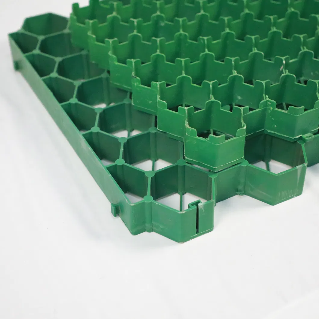 Pavimentadores de Grelha de Plástico em HDPE Pavimentadores de Grelha de Grelha de Plástico em Parques de Jardim 4