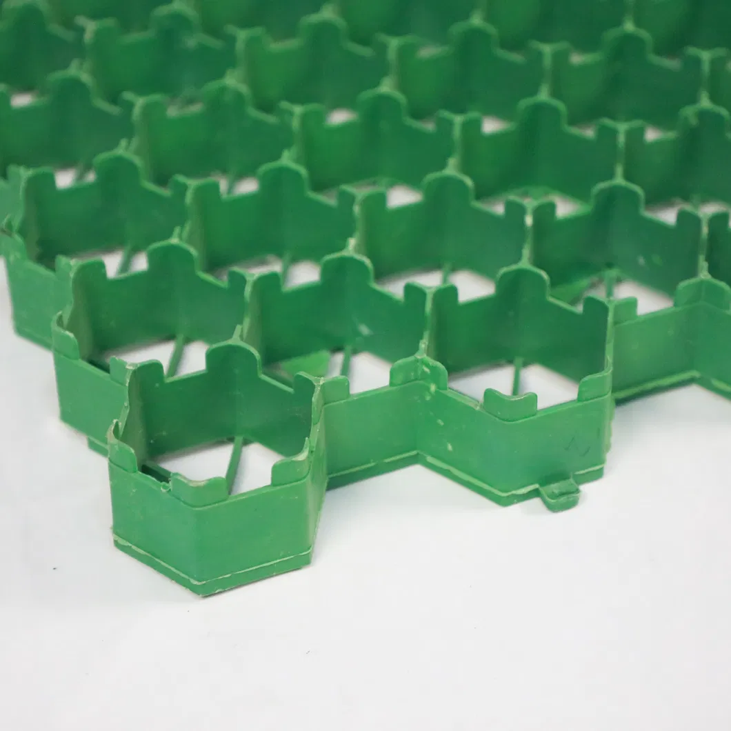 Pavimentadores de Grelha de Plástico em HDPE Pavimentadores de Grelha de Grelha de Plástico em Parques de Jardim 7