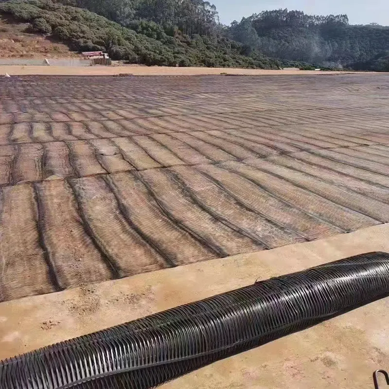 Plástico Polipropileno PE Unidireccional Uniaxial Tensile Geogrid de Plástico para Reforço de Estradas 4
