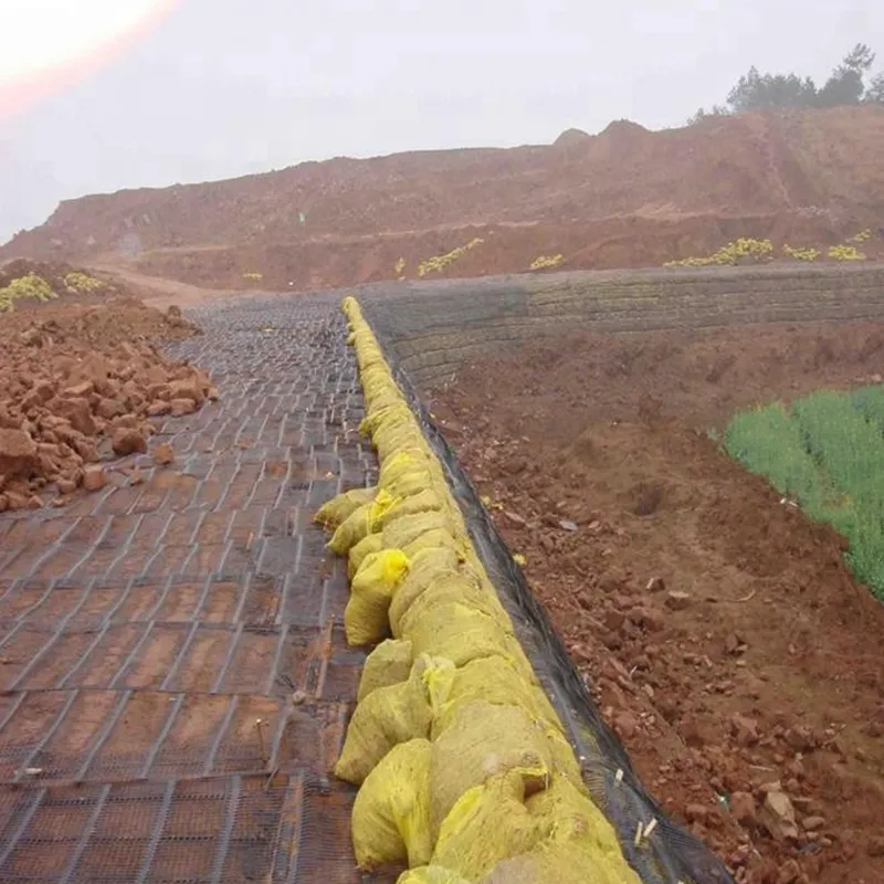 Plástico Polipropileno PE Unidireccional Uniaxial Tensile Geogrid de Plástico para Reforço de Estradas 5