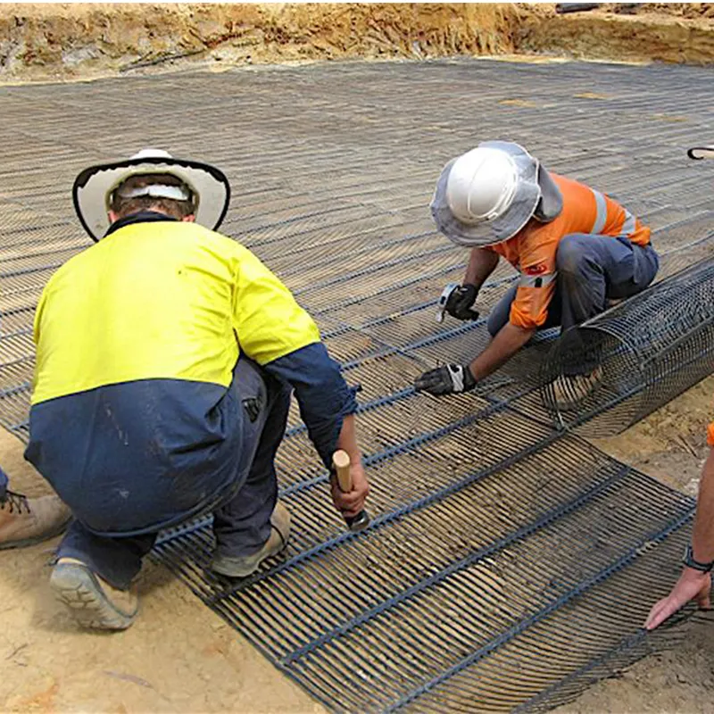 Plástico Polipropileno PE Unidireccional Uniaxial Tensile Geogrid de Plástico para Reforço de Estradas 6