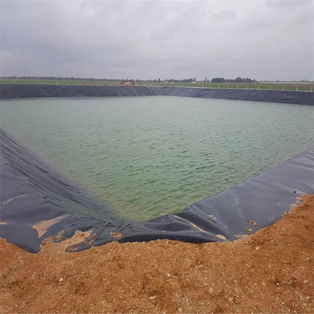 Polietileno para piscifacção exterior Geomembrana Liner de lago HDPE Liner de contenção Liner de lago grande Geomembrana impermeável Liner de lago 2