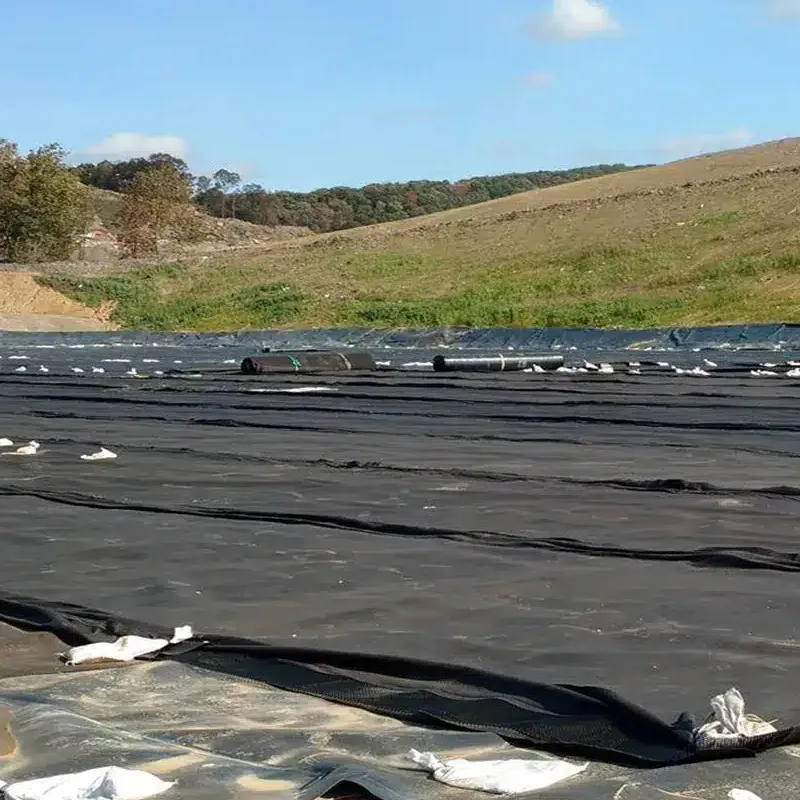 Preço de fábrica 100% Polietileno Virgem de Alta Densidade Geomembrana HDPE lisa e texturizada à prova d'água e anti-infiltração para lagoa de aterro, mineração, barragem, lago de água e revestimento de lagoa 0