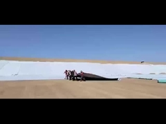 Geomembrane composto