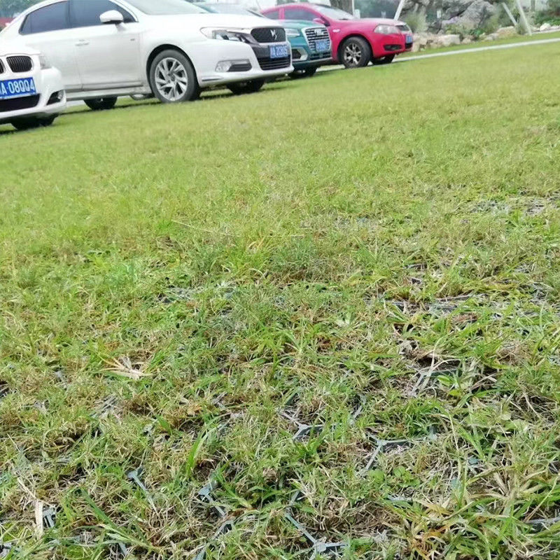 grade plástica de bloqueio do estacionamento do carro do relvado 200ton/Sqm para o reforço do parque de estacionamento