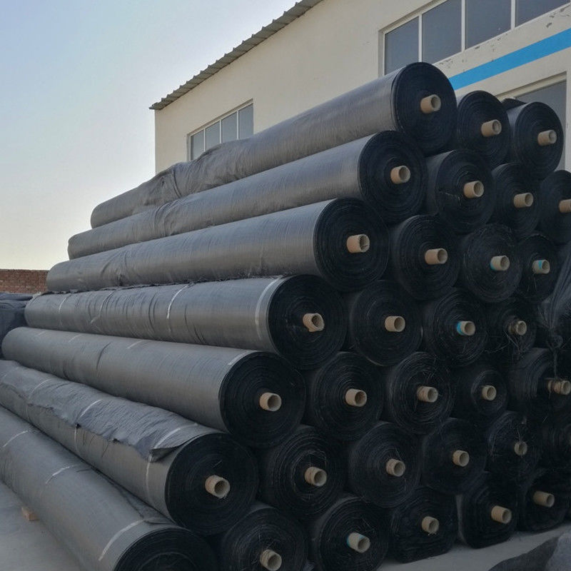 Tela tecida de Geogrid do geotêxtil dos PP da estabilização para o produto do reforço do solo
