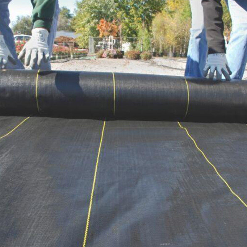 Tela tecida de Geogrid do geotêxtil dos PP da estabilização para o produto do reforço do solo