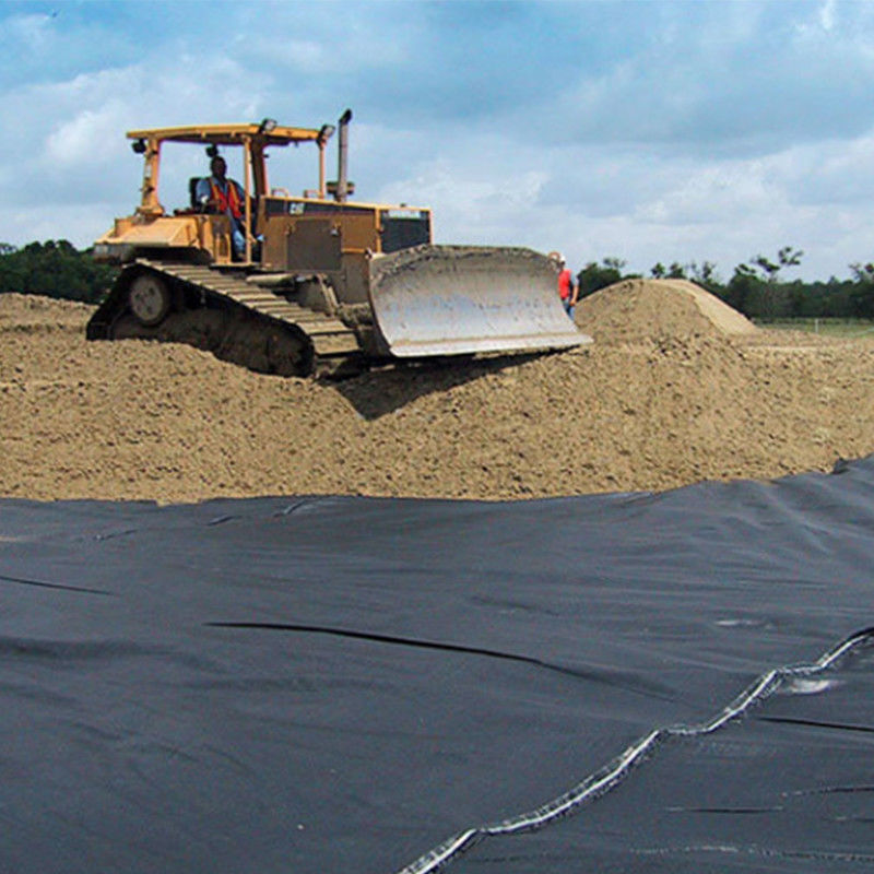 Tela tecida de Geogrid do geotêxtil dos PP da estabilização para o produto do reforço do solo