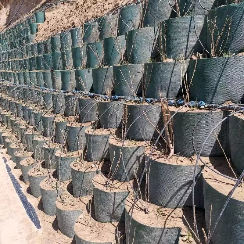 Grelha de terra de geocells de plástico HDPE resistente à corrosão usada na construção de estradas