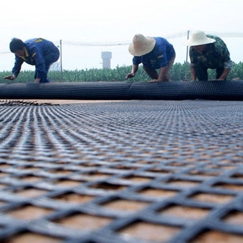 Geogrid de aço plástico de 80kn com resistência a ácidos e álcalis para proteção contra inclinações