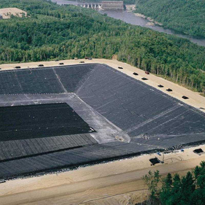 0.3mm/0.5mm/0.75mm/1mm/1.5mm/2mm Folha de plástico de membrana preta HDPE LDPE LLDPE virgem Geomembrane Liner para peixe camarão F