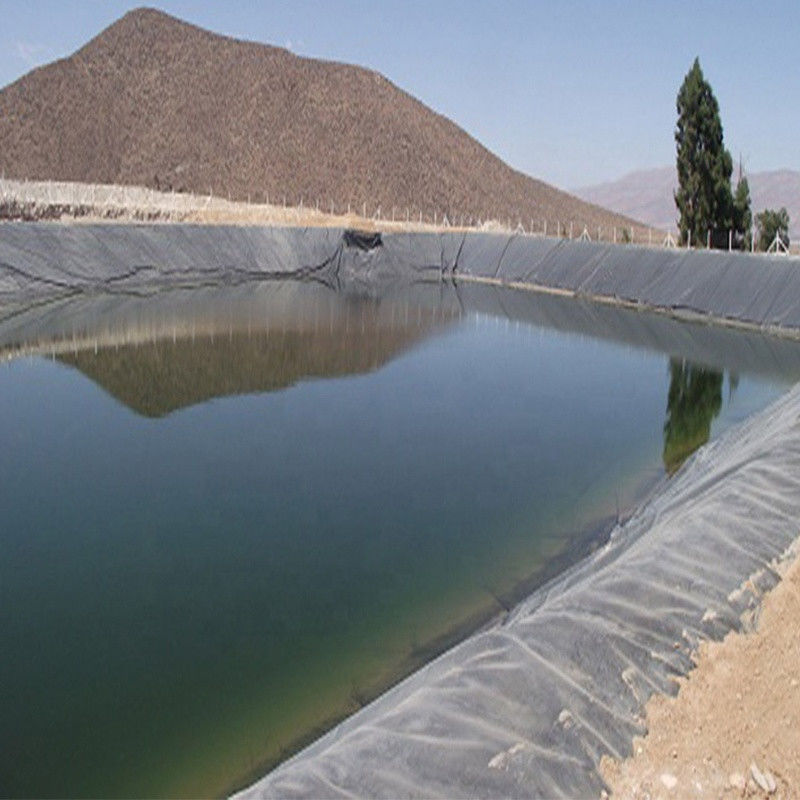 0.3mm/0.5mm/0.75mm/1mm/1.5mm/2mm Folha de plástico de membrana preta HDPE LDPE LLDPE virgem Geomembrane Liner para peixe camarão F