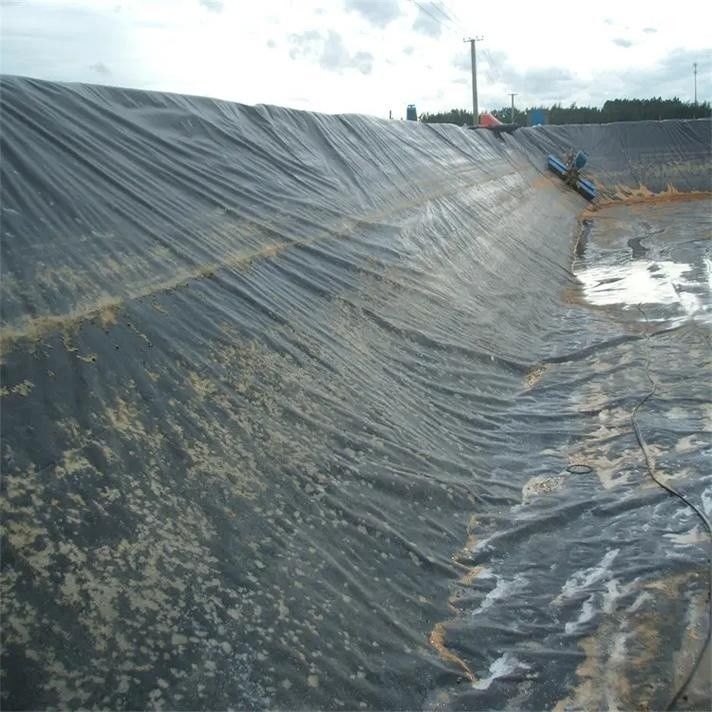 0.5mm 1mm 1.5mm Plástico Impermeável Aquacultura Geomembrana Hdpe Liner Peixe Farm