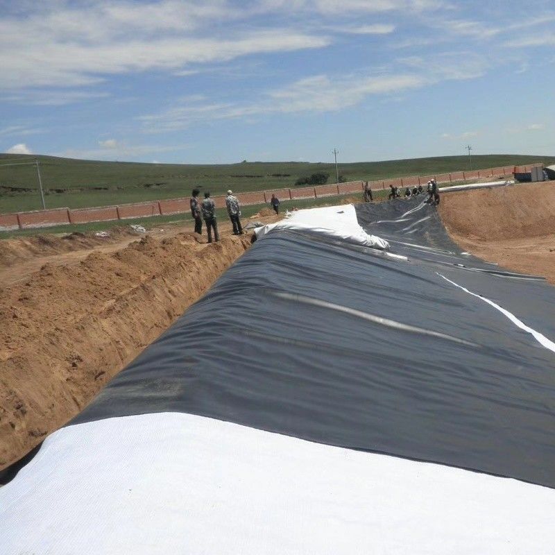 0.5mm 1mm 1.5mm Plástico Impermeável Aquacultura Geomembrana Hdpe Liner Peixe Farm