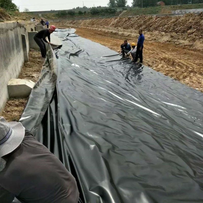 0.5mm 1mm 1.5mm Plástico Impermeável Aquacultura Geomembrana Hdpe Liner Peixe Farm