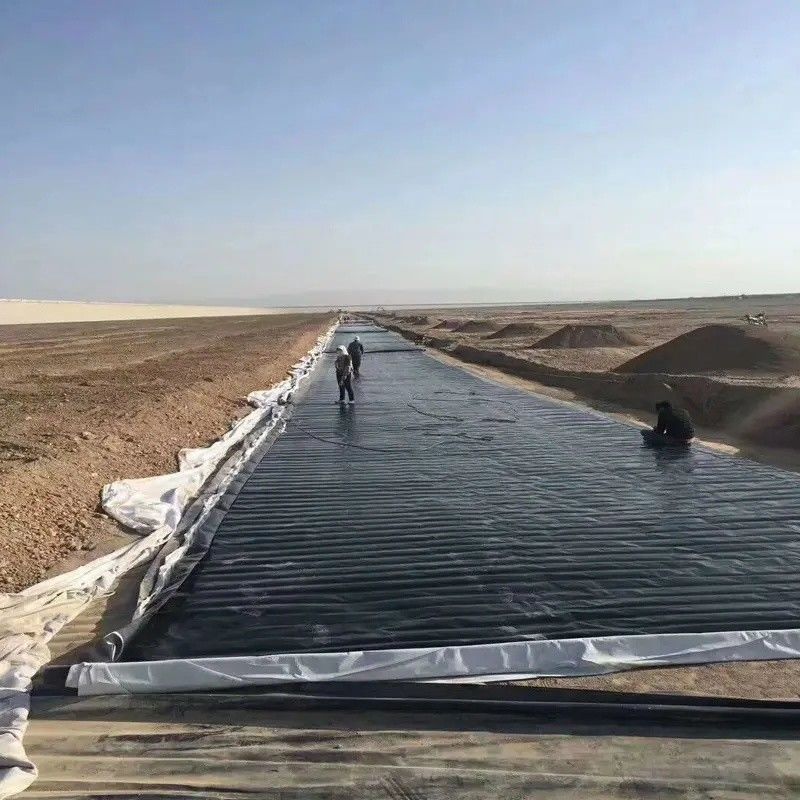 0.5mm 1mm 1.5mm Plástico Impermeável Aquacultura Geomembrana Hdpe Liner Peixe Farm