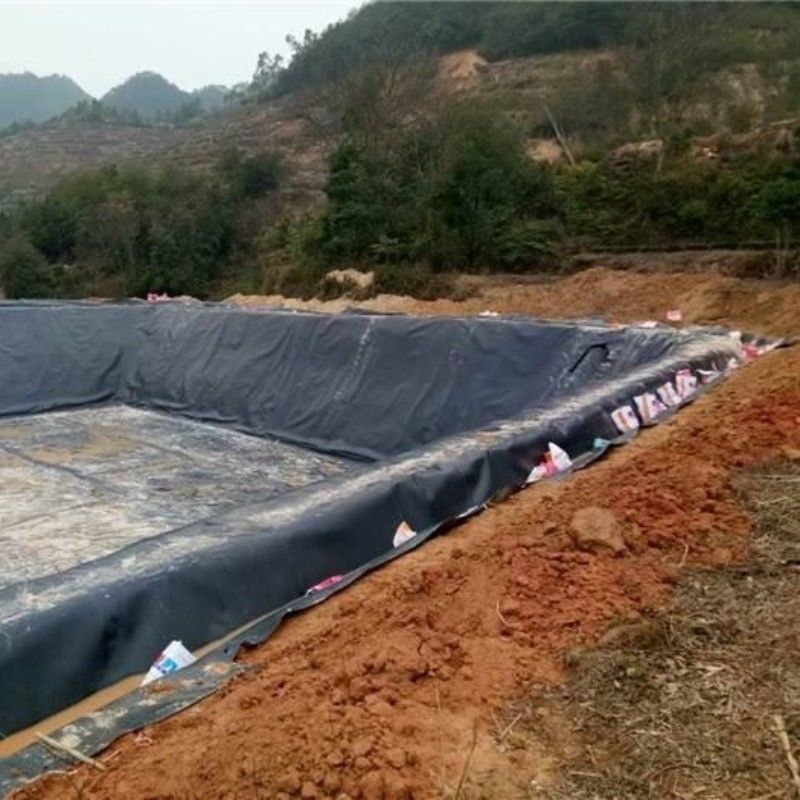 Liner de impermeabilização de geomembrana HDPE / Liner de piscina / Digestor de biogás de aterros sanitários