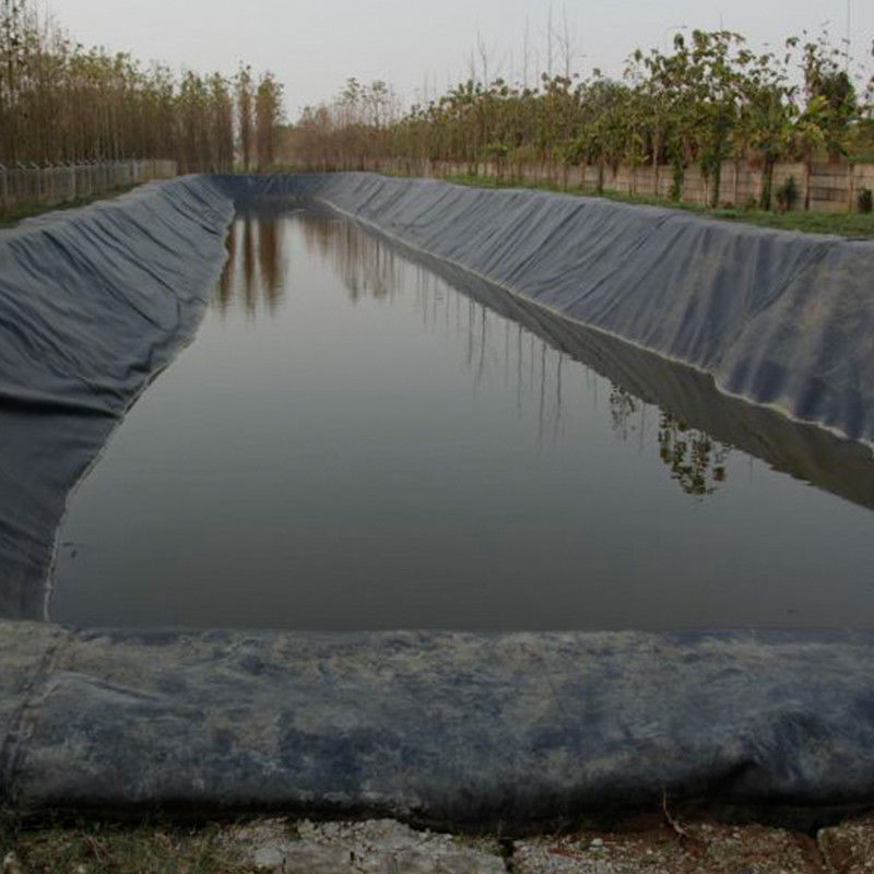 100% material virgem ASTM Standard GM13 HDPE Geomembrane Liner 0.3mm 0.5mm 1.0mm 1.5mm 2.0mm Para aterro sanitário / lago de camarão