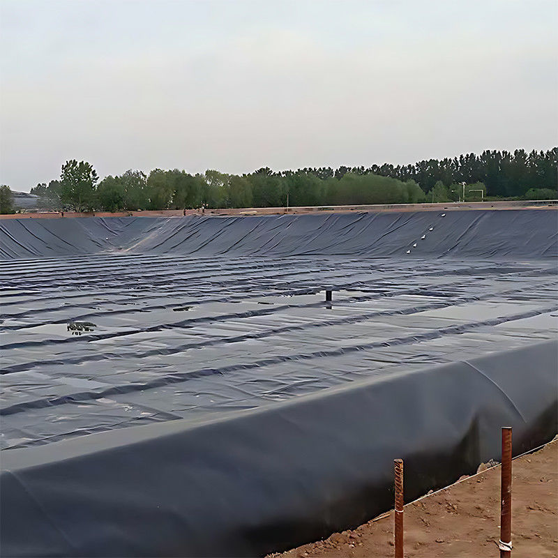 ASTM 100% virgem impermeável de aquicultura Liner de lagoa de alta densidade HDPE Geomembrana Liner de lagoa de barragem