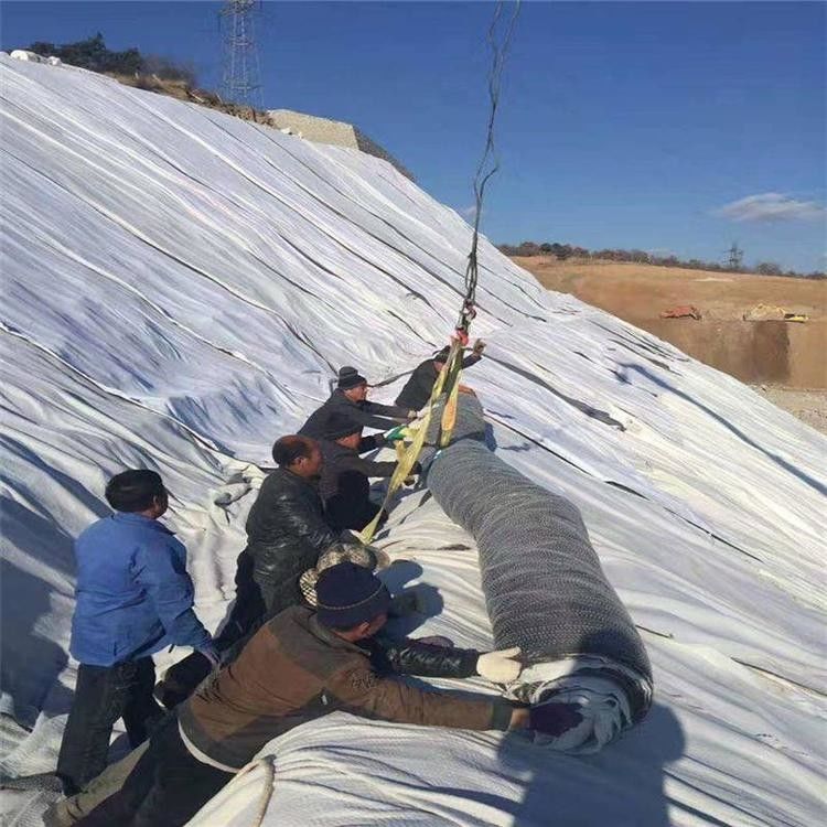 Anti-filtração de lagoas Geossintéticas GCL Clay Liner Mat Gcl Bentonite Geosintéticas para aterros sanitários
