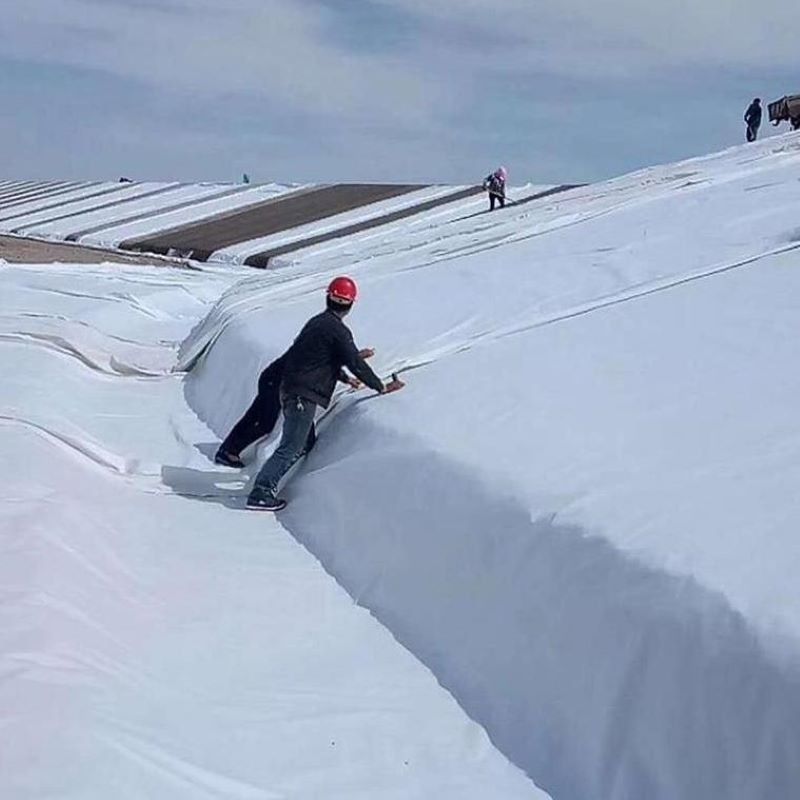 Bianco preto não tecido agulha perfurada geotextil PET PP para estrada rodoviária ferroviária