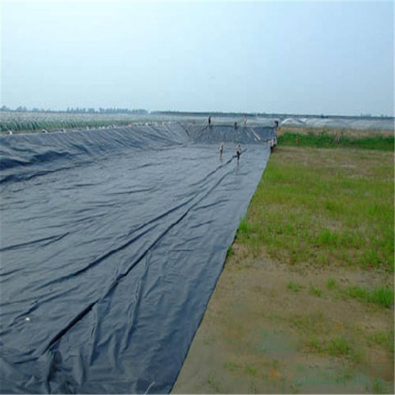 HDPE High Definition Polyethylene Liner Estilo de design industrial para piscinas de piscinas de peixe e camarão