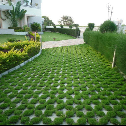 Grelha de grama plástica de plástico para estacionamento saída de incêndio de lote de HDPE Pavimentadores Geogrid para paisagem terra Geocell Grelha de cascalho Paddock Grelha