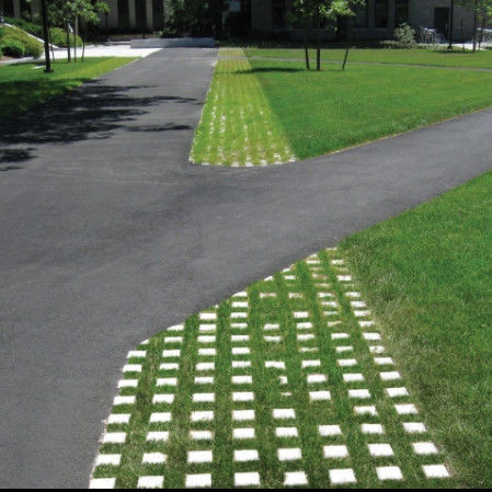 Grelha de grama plástica de plástico para estacionamento saída de incêndio de lote de HDPE Pavimentadores Geogrid para paisagem terra Geocell Grelha de cascalho Paddock Grelha