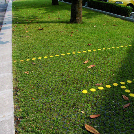 Grelha de grama plástica de plástico para estacionamento saída de incêndio de lote de HDPE Pavimentadores Geogrid para paisagem terra Geocell Grelha de cascalho Paddock Grelha