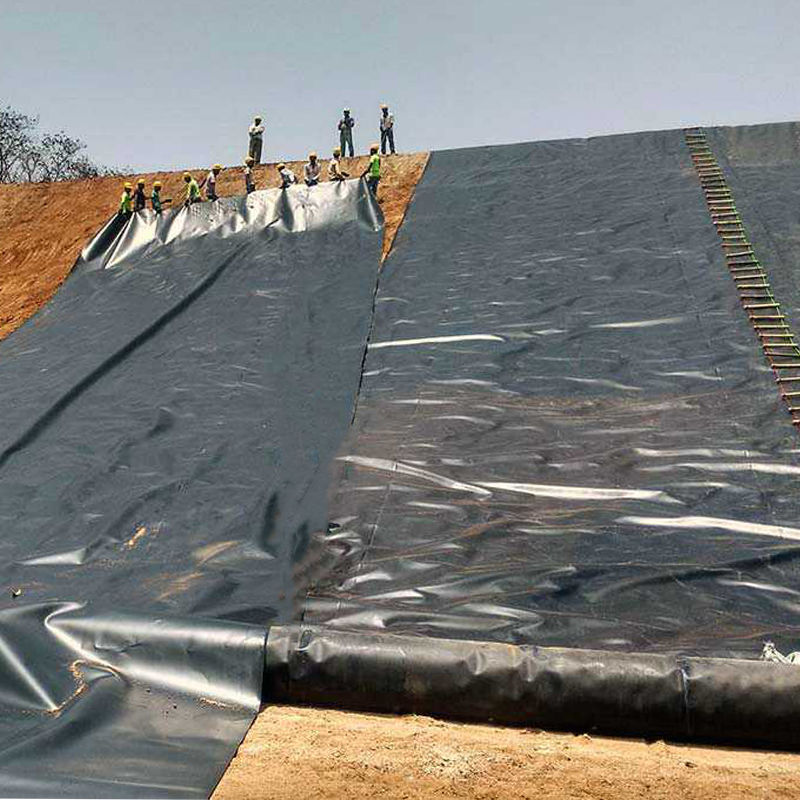 0.75-2.5mm HDPE Geomembrane Liner de lago para aterros de peixe camarão lago barragem de aterros de minas