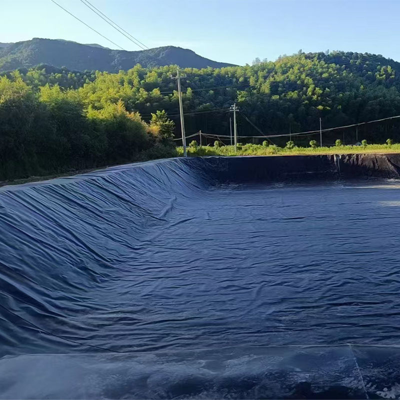 0.75-2.5mm HDPE Geomembrane Liner de lago para aterros de peixe camarão lago barragem de aterros de minas