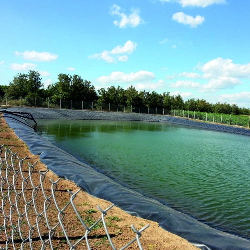 Polietileno para piscifacção exterior Geomembrana Liner de lago HDPE Liner de contenção Liner de lago grande Geomembrana impermeável Liner de lago