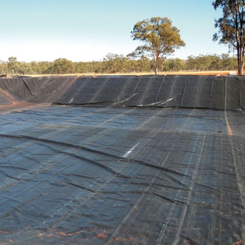 Forro impermeável de lagoa de HDPE preto rígido, geomembrana de polietileno, preço de fábrica para venda