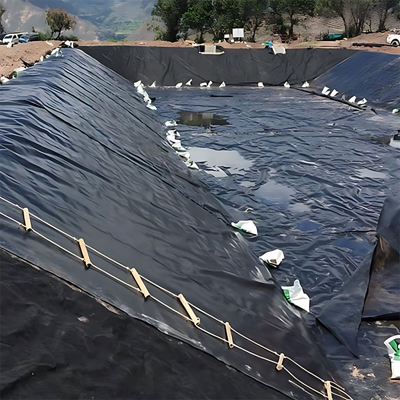 0.3mm/0.4mm/0.6mm/0.75mm/1mm/1.4mm/1.5mm 20mil 30mil 40mil HDPE Geomembrane Pond Liner/Geomembrane Manufacturer Factory Distributor Price