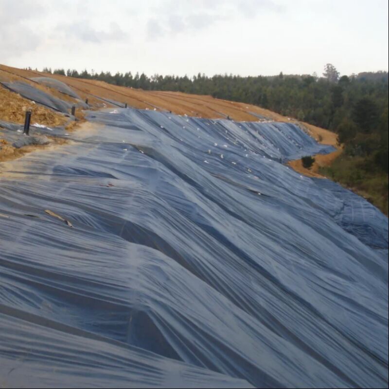 Lonas para lagoas agrícolas com superfície lisa e à prova d'água para piscicultura e carcinicultura, lagos artificiais e aterros sanitários, geomembrana de HDPE